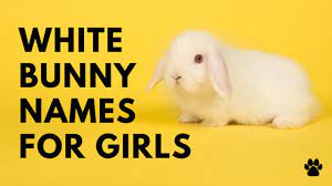 Here is a list of over 150 to choose from. White Bunny Names For Girls Cute Best Ideas Names Youtube