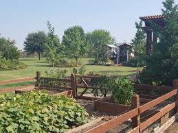 We did not find results for: Bugs And Basil Insecticides And Veggies Don T Always Mix School Integrated Pest Management
