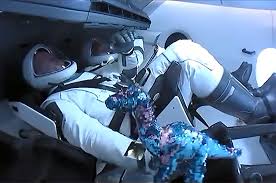 Cute names for stuffed animals. Spacex Stowaway Revealed By Crew As Sons Dinosaur Toy Tremor Space