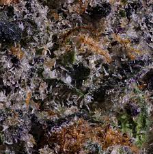 Profile for Morenci Brothers