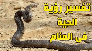 تفسير حلم رؤية اللحاق باللص في المنام لابن سيرين. Aarda Info Ø§Ù„ØµÙˆØ± ÙˆØ§Ù„Ø£ÙÙƒØ§Ø± Ø­ÙˆÙ„ ØªÙØ³ÙŠØ± Ø­Ù„Ù… Ø§Ù„Ø§ÙØ¹Ù‰ Ø§Ù„ØµÙØ±Ø§Ø¡ ÙˆØ§Ù„Ø¨ÙŠØ¶Ø§Ø¡
