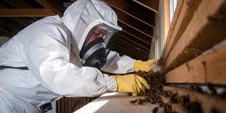Termite Treatment