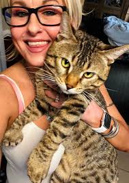 Funny Bloodhound Pictures and Experiences