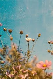 What wallpaper do you want to see next? 50 Gorgeous Flower Aesthetic Wallpaper For Your Iphone Prada Pearls