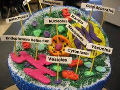 This is a cake decorated with candies like gummies, jelly, bubblegum and chocolates. 8 Best 3d Animal Cell Images 3d Animal Cell Animal Cell Animal Cell Project