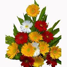 Send Flowes Cakes And Gifts Online To Bangalore And Please Your Relation Online Flower Delivery Flowers Online Send Flowers Online
