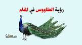 في الاحلام