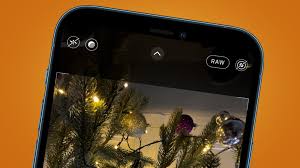Heic is a container developed by apple for heif images. Apple Proraw How To Master The Iphone 12 Pro S New Photo Format Techradar