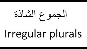 تعلم اللغة الانجليزية الجموع الشاذة Irregular Plurals Youtube