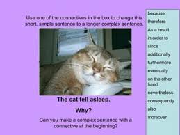 Nef - Pi - File Test 3 - Grammar - 3. Complete The Sentences. Use The  Correct Form Of Going To And A Verb From The Box. - Quiz, Trivia & Questions