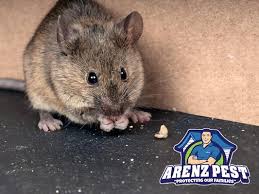 Louis, mo and picked the top 23. Arenz Pest Management Solutions 125 Osage Executive Cir House Springs Mo Pest Control Mapquest