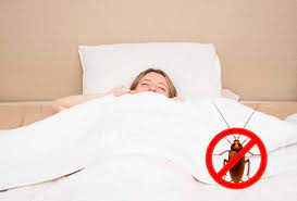 You don't want new roaches. How To Keep Roaches Away From Bed Prevention Techniques That Work