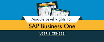 sap business one 9 2 license comparison chart appseconnect