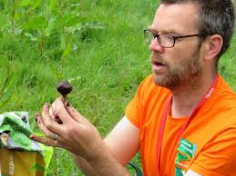 Setting Up A Habitat Bank In Plymouth — Future Parks Accelerator