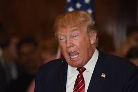 Image result for trump president elect