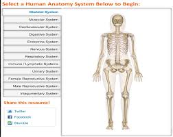 Traditionally, the final lines are inked and the guidelines then erased (hence the. Great Websites To Teach Anatomy Of Human Body In 3d Educational Technology And Mobile Learning