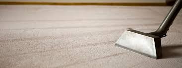 Stain Prevention Tips Precision Carpet Cleaning