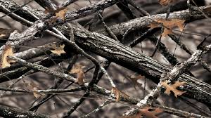 The great collection of realtree camo desktop wallpaper for desktop, laptop and mobiles. High Resolution Realtree Camo Background 1920x1080 Download Hd Wallpaper Wallpapertip