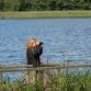 Swindon Wildlife Group: Cotswolds Water Park Birdwatch event image