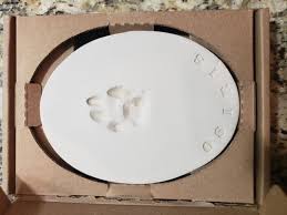 Maybe you would like to learn more about one of these? Pet Memorial Services 126 Turner Ln West Chester Pa Pet Cemeteries Crematories Mapquest
