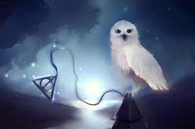 Free Harry Potter Wallpaper 1920x1080 Mobile Harry Potter Wallpaper Harry Potter Owl Harry Potter Deathly Hallows