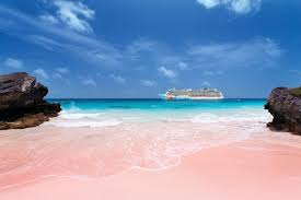 We did not find results for: Bermuda S Best Bet Pink Sand Beaches Blog De Voyage Ncl