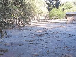 Studenten helfen bei Flut-Schlam(m)assel