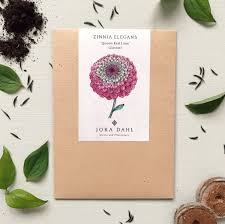 The distinctive blooms of zinnia elegans 'queeny lime red' are particularly attractive to bees and butterflies, and make a lovely cut flower too. Samen Zinnia Elegans Queen Red Lime Zinnie Jora Dahl Freudentanz Her Mit Dem Schonen Leben