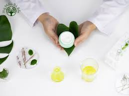 Top 21 Thương Hiệu Mỹ Phẩm Hữu Cơ Organic Tốt Nhất Hiện Nay