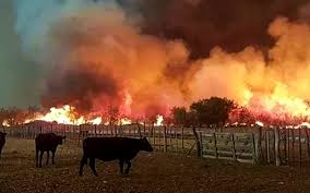 See more of incendios forestales argentina on facebook. Breve Recorrido Por El Incendio Ambiental En Argentina Anred