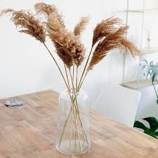 Pampasgras Love Happy Weekend Ihr Lieben Just Nothing More To Say Interieur Pampasgrass Lovedeco Decorationideas Int Ikea Hack Ikea Boho Diy