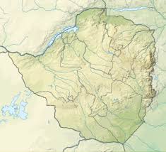 Image result for Afrosciadium rhodesicum