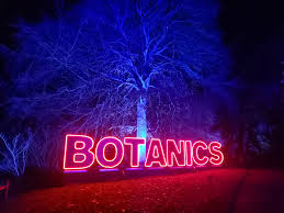 Christmas Lights at the Botanics