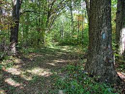 Maybe you would like to learn more about one of these? Salt Fork State Park Ohio Department Of Natural Resources