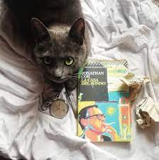 Acquista su ibs a 10.00€! Recensione La Casa Del Sonno Dello Scrittore Jonathan Coe