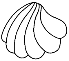 Muschel Ausmalbilder Ausmalbilder Muschel Ausmalbilder Ausmalen Bilder