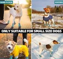Breathable Dog Shoes for Summer Paw Protector for Outdoor Walking