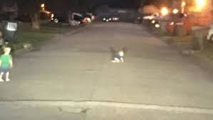 Photo Of Baby Crawling Across Beaumont Street Goes Viral Kfdm