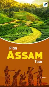 Assam Tour Packages Assam Is A Beautiful Destination In The Heart Of Northeast India Those Planning An Assam Trip Tour Packages Travel Poster Design Tours