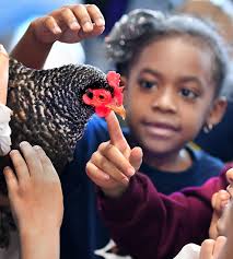 Our favorite Eagle photos from March 2019