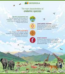 For example, malaria is said to be endemic to tropical regions. Endemic Species What They Are And How To Conserve Them Iberdrola