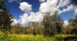 أجواء خماسينية اليوم وماطرة اليومين القادمين. Ù…ÙˆÙ‚Ø¹ Ø¨ÙƒØ±Ø§ Ø­Ø§Ù„Ø© Ø§Ù„Ø·Ù‚Ø³ Science