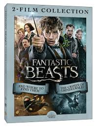 Fantastic Beasts: 2-film Collection (DVD Double Feature) [DVD]