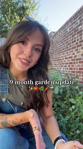 my lil garden update! 🥕🍅 #garden #tomatoes #carrots #greenwitch #grow