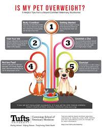 Pin On Lifestyleblogboard