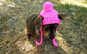 This is a great pattern for your stash of leftover yarn! Small Dog Cat Crochet Beanie Pattern Twinstarhooks