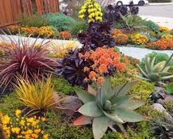 California sportscapes has over 20 years experience designing and building drought tolerant landscapes in both residential and commercial areas. Santa Ana Water Smart Landscapes The City Of Santa Ana