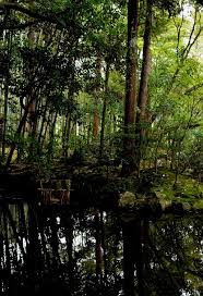 Kyoto Nanzen Ji Temple Et Jardins Tenjuan Kyoto Faire Construire Et Jardins