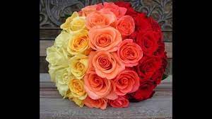 The perfect rose flower withlove animated gif for your conversation. Good Morning Beautiful Rose Flower Whatsapp Messages Videos Rose Whatsapp Messages Videos Youtube
