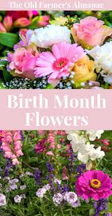 Birth Month Flower Chart Birth Month Flowers And Their Meanings Birth Month Flowers Birth Flowers Birth Month